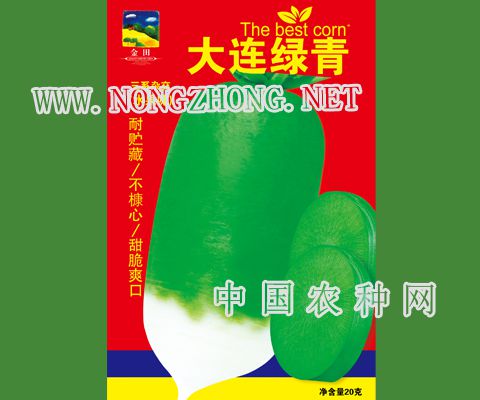 大连绿青